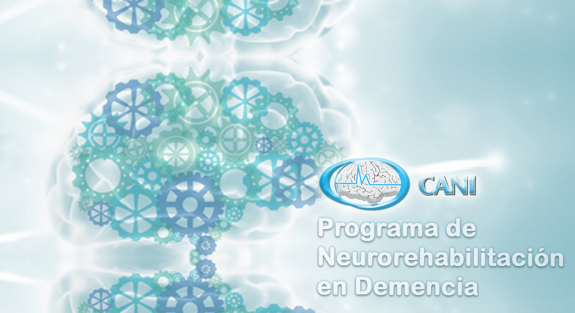 Programa de Neurorrehabilitación en Demencia