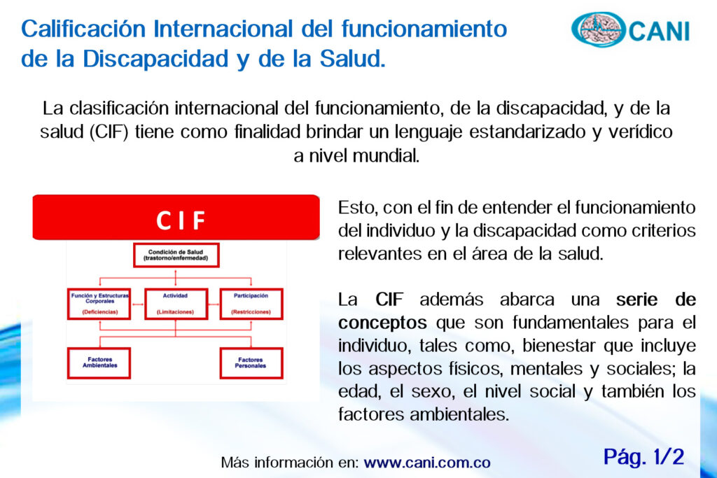 La Clasificación Internacional Del Funcionamiento, De La Discapacidad Y ...